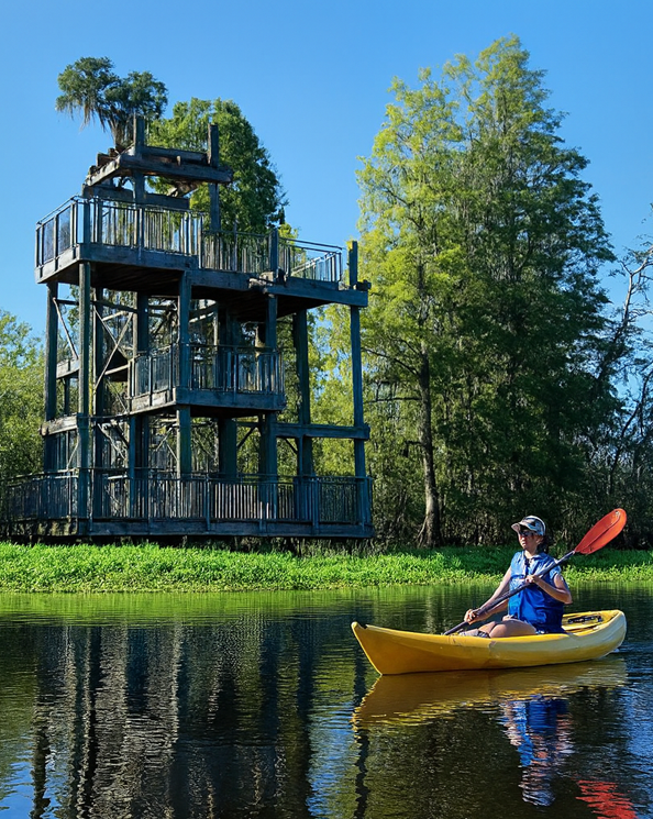 Kayak at Lettuce Lake Park.